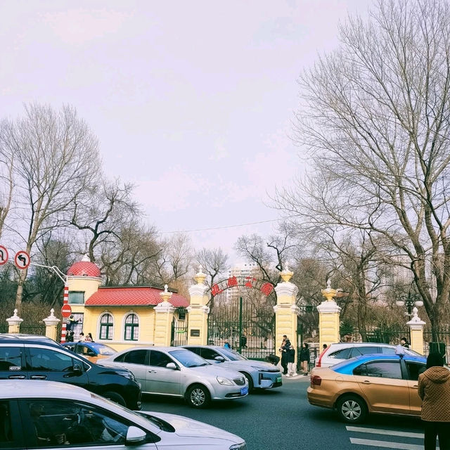 Visit Harbin Zhaolin Park (兆麟公园) and War Memorial