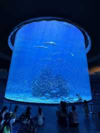 ✨深圳2日1夜好去處🌈