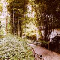 Du Fu Thatched Cottage Museum: A Poetic Journey Through Tang Dynasty China** 🌿📜