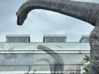 My Trip to Fukui: Welcome to the Jurassic City! 🦖