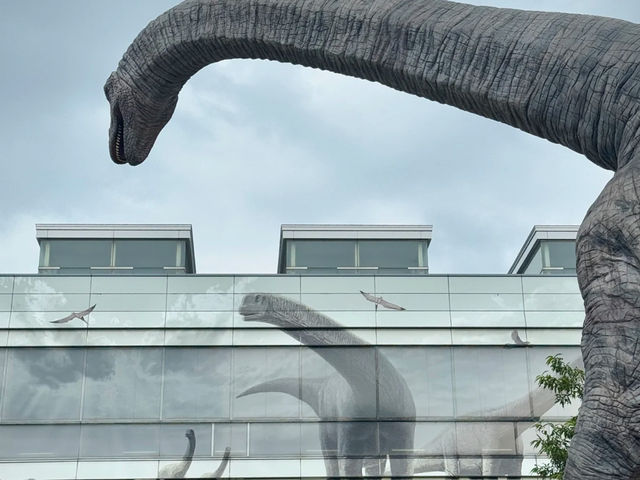 My Trip to Fukui: Welcome to the Jurassic City! 🦖
