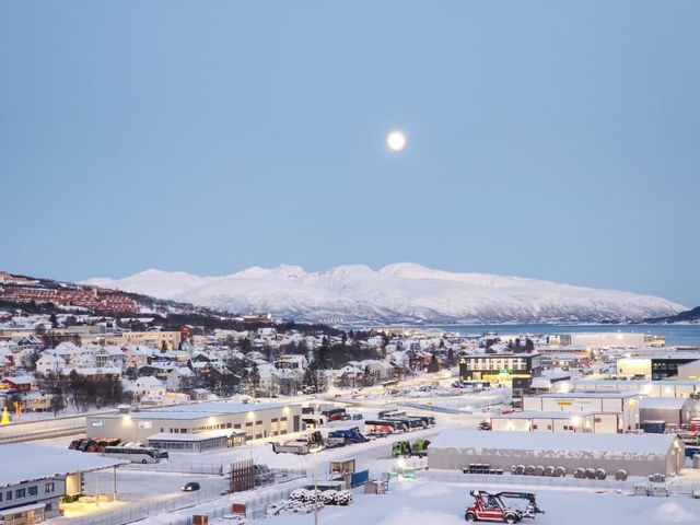 Northern Lights and Arctic Wonders in Tromsø