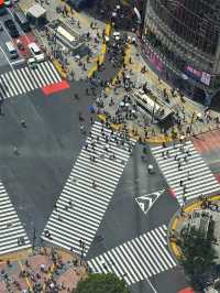 Tokyo Is Unlike Anywhere I’ve Ever Been.