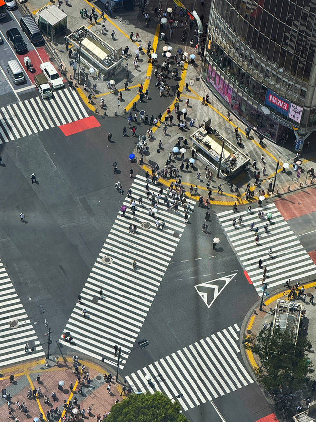 Tokyo Is Unlike Anywhere I’ve Ever Been.