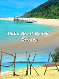 Calm Escape at Puka Shell Beach