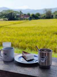Chiang Mai ☕ Coffee Hopping – Café Gems in Nature