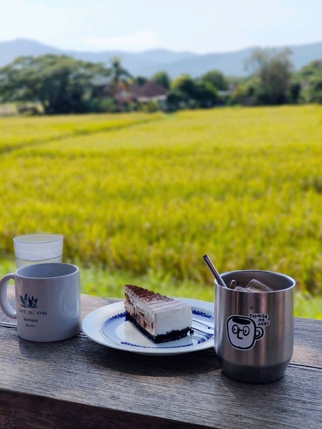 Chiang Mai ☕ Coffee Hopping – Café Gems in Nature