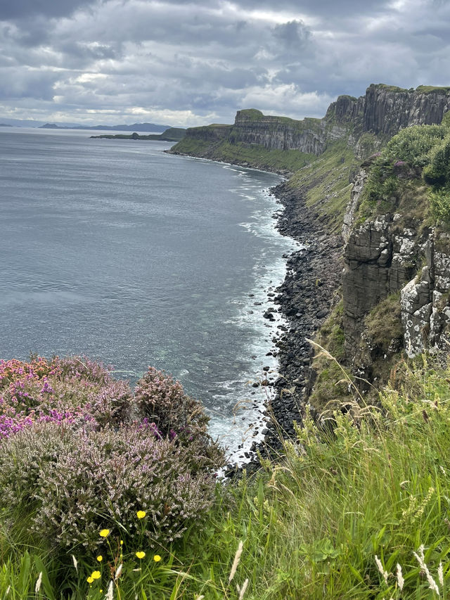 Skye, cliffs & puffins ~ pure magic 🐧⛰️ 💙💕