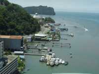 The Port of Pathos and the Rainforest of Hope