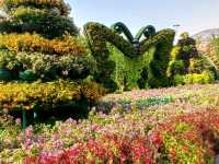 Miracle Garden