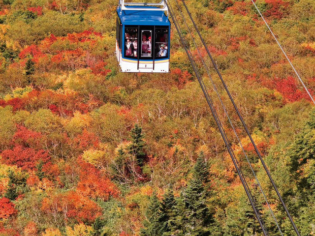 立山黑部🇯🇵 秋季必去絕景 🍁 立山黑部🇯🇵 秋季必去絕景 🍁