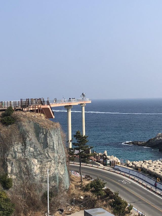 📍 울진 여행 추천 코스  등기산 스카이워크 → 울진대게빵 → 카페 파로
