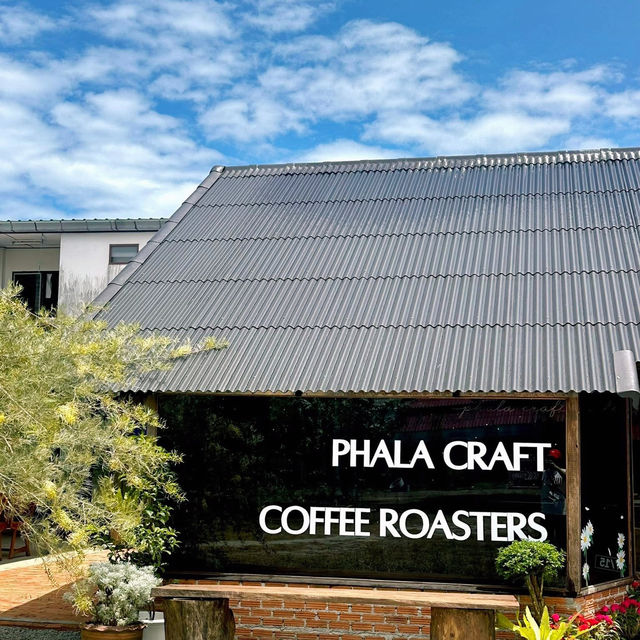 📍 Pachana x Phala Craft Coffee Roasters 🫶🏻🌿