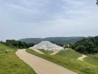 奈良　飛鳥の歴史をめぐる