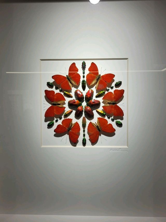 Nature exhibit at Beijing 798 Art District
