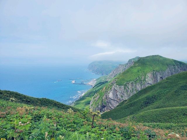 Rebun Island – Hokkaido’s Flower Island!