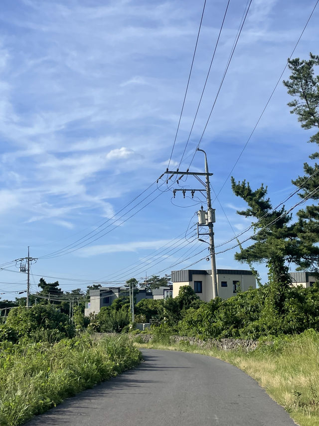 🌊 고요한 바다를 품은 제주 북촌포구 🌿