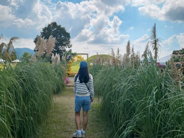 가을이 예쁜 경주 여행, 황금정원나들이 🍂