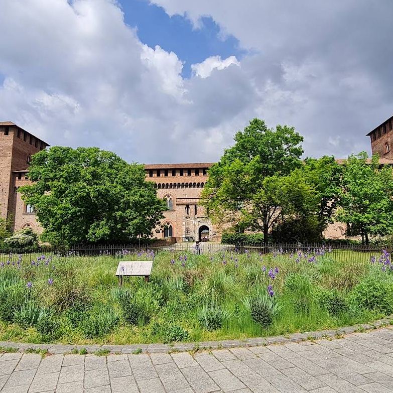 Visconti Castle – Civic Museums of Pavia