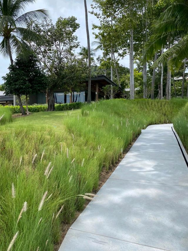 รีวิวที่พักHyatt Regency koh samui