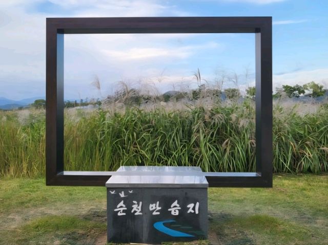 가을하면 갈대, 그렇다면 갈대 보러 순천여행 가보자고!
