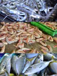 สดกว่านี้ไม่มีอึกแล้ว ตลาดปลาทะเล ตากใบ