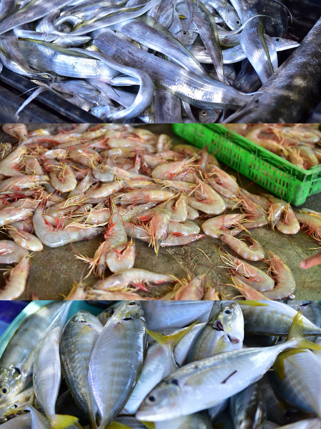 สดกว่านี้ไม่มีอึกแล้ว ตลาดปลาทะเล ตากใบ สดกว่านี้ไม่มีอึกแล้ว ตลาดปลาทะเล ตากใบ