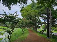 Seochulji Pond