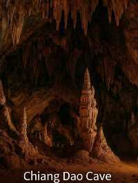 ดอยหลวงเชียงดาว