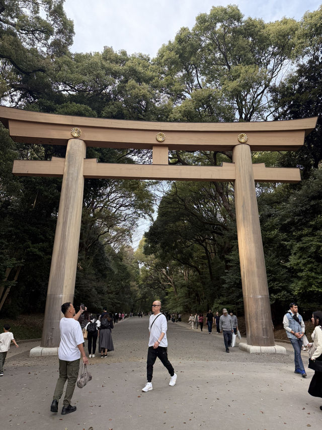 櫻花季東京五天四夜行程 p3 交通方式及費用 櫻花季東京五天四夜行程 p3 交通方式及費用