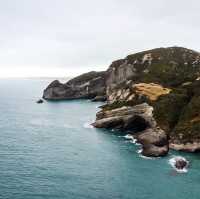 Kahurangi National Park – Epic Wilderness & Hidden Wonders of Te Wai Pounamu