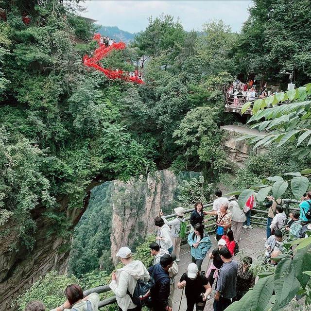 My Adventure in Yuanjiajie 