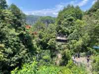Pillars of Wonder: My Sky-High Escape to Yuanjiajie
