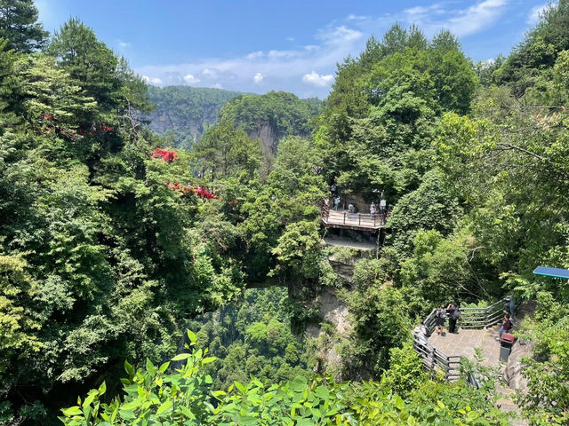 Pillars of Wonder: My Sky-High Escape to Yuanjiajie