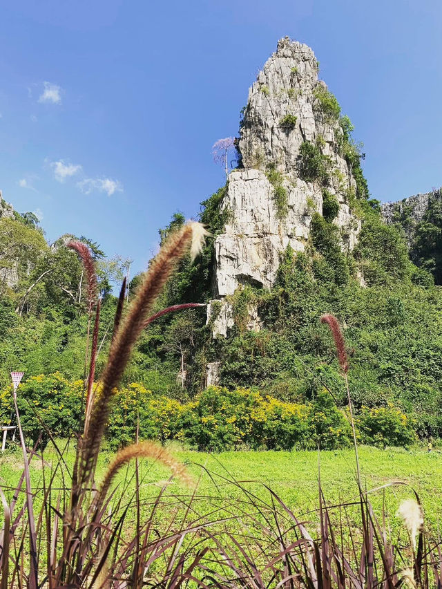สโลวไลฟ์ที่ บ้านมุง เนินมะปราง🌲