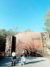 迪士尼海洋 阿拉丁區(Arabian Coast, 東京迪士尼海洋)