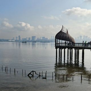 Sungei Buloh : A Tranquil Wildlife Escape