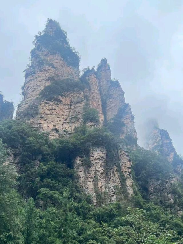 Into the Avatar World: Exploring Zhangjiajie’s Floating Peaks
