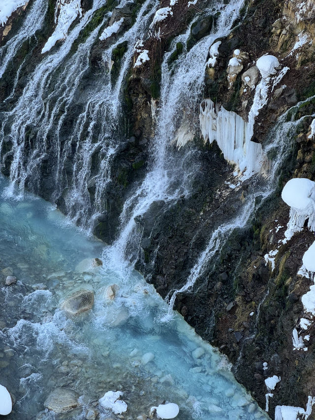 ❄️ 冬季必訪夢幻奇景｜北海道「白鬚瀑布」雪白仙境之旅