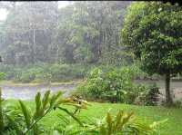 Danum Valley Conservation Area - Malaysia 
