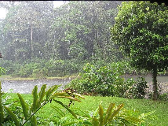 Danum Valley Conservation Area - Malaysia 