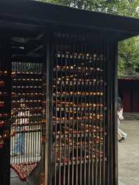 Temple Calm Chengdu🌿