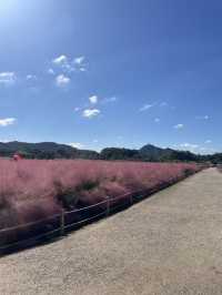 Best autumn escapes near Seoul-Nari Park in Yangju