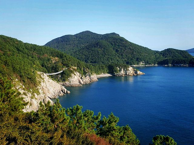 바다 위 흔들다리 🌊금오도 비렁길