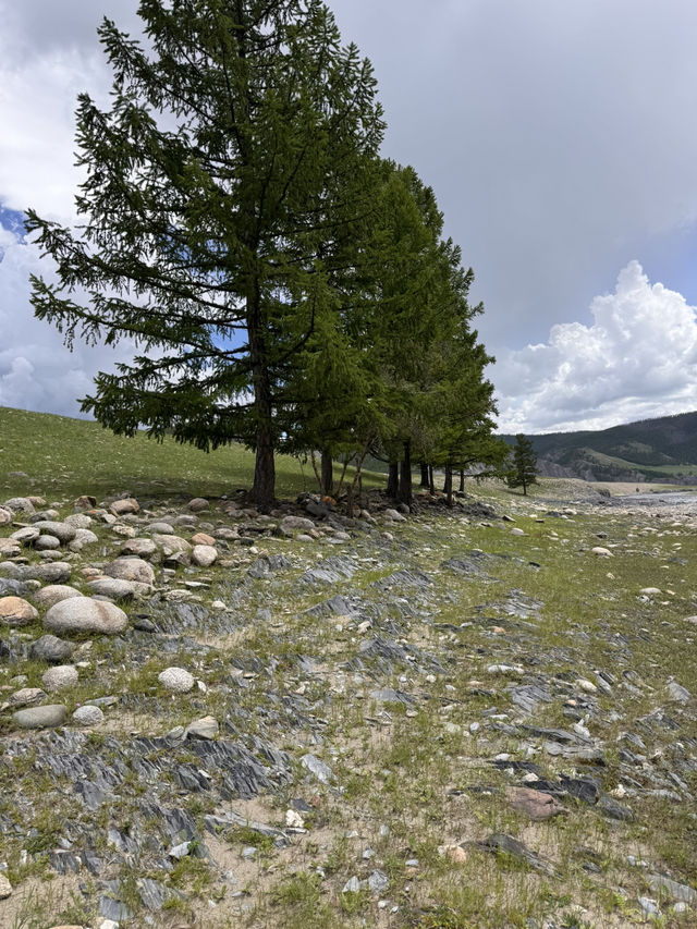Boshloi khad, Bayanzurkh soum, Khuwsgul aimag, Mongolia