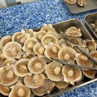 【千葉/南房総🇯🇵】自分で作る海鮮丼と貝焼きを堪能！🐚 浜焼市場きよっぱち