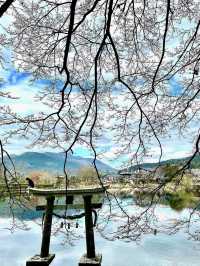🍁 Autumn in Yufuin — Strolling Around Lake Kinrin