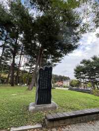 감탄했던 용문산 계곡 그리고 용문사🍁