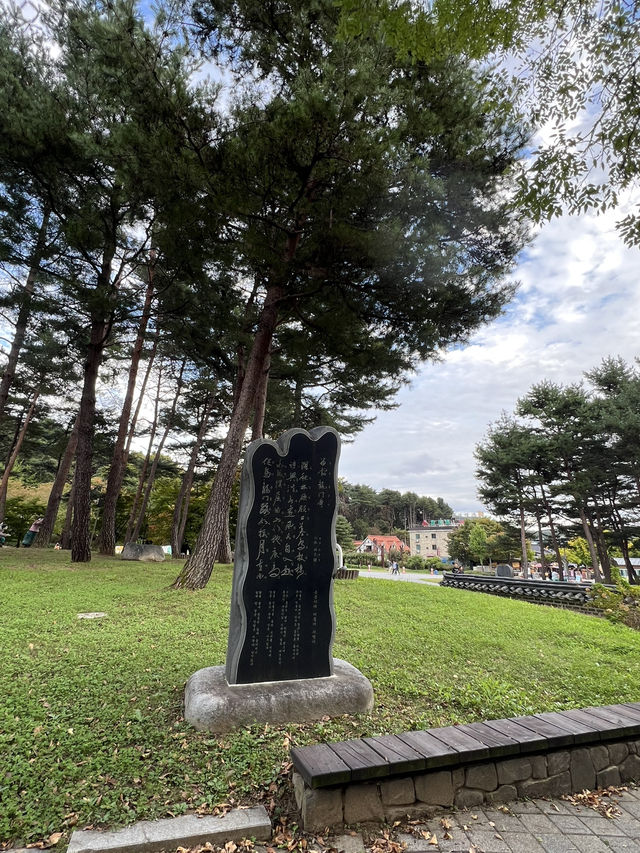 감탄했던 용문산 계곡 그리고 용문사🍁