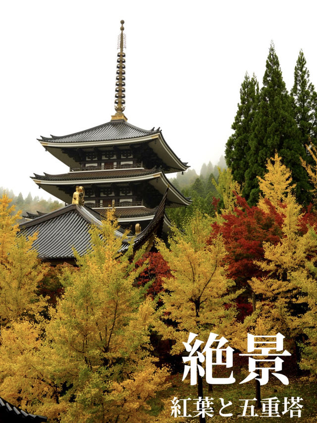 秋はイチョウと五重塔の景色が素晴らしい